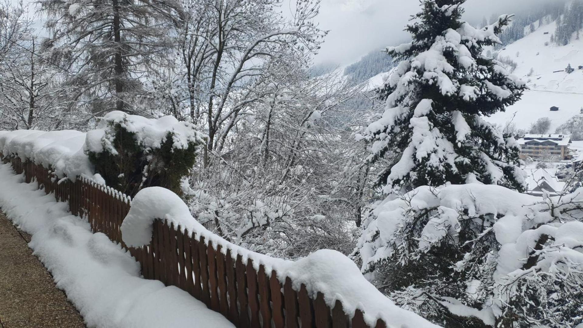 Pension Terra Neustift im Stubaital Exterior foto